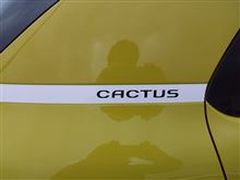 CACTUSに目を奪われた1日・・・2014冬 フレフレセントラル