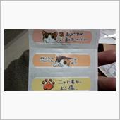 『にゃんそうこう』届きました♪
