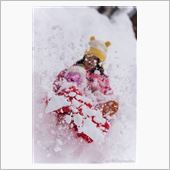 雪のち....