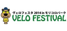 今年最後のレース 今年最後のレース