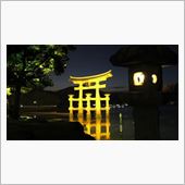 夜の厳島神社を散策の巻。