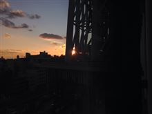 遅く起きた朝には…