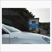 今年も走り納め♪