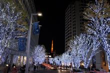 東京の電飾巡り in 2014♪