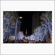東京の電飾巡り in 2014♪