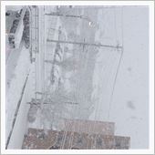雪が降る。