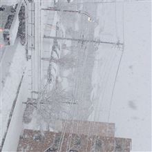 雪が降る。