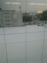 今シーズンの雪害は早いぞっと