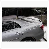 雪だ～　愛車の雪下ろし