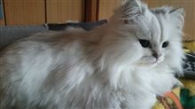 なるほど、ハヤブサとイトカワってそこからなのか～