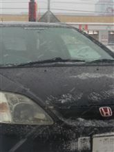 冬支度❗大雪❗ 