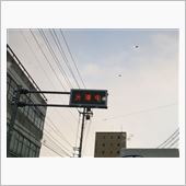  帰ってきても・・・o(T△ ...