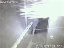 ピンストライプを新しく・・・・外は雪＾＾；