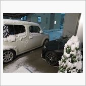 結構積もりそうな予感・・・！？