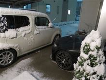 結構積もりそうな予感・・・！？