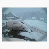 降ったゃ～ 雪