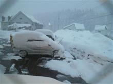 降ったゃ～ 雪