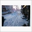 名古屋も雪・・・