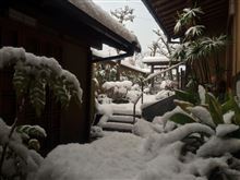名古屋って雪国だったっけ！？