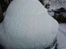 今朝の雪