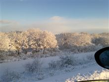 今年一番の