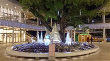 クリスマスだね～(^-^)…。
