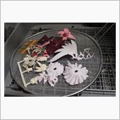 イリヤ製作開始