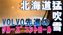 北海道で数年に1度の猛吹雪の日に敢えてACCを使ってみる。
