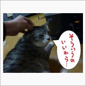 ウチのおじいちゃん。