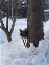 なにが怖いって・・・