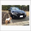 あんずちゃんは松ぼっくりが大好き（BMWでお散歩編）