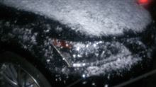 再び雪が降ってキター！！