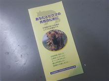リーフレット・・・((；ﾟДﾟ))