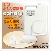 これ、どうでしょうか?