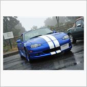 車として生を受けて