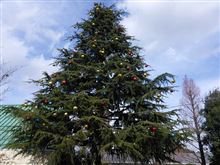 Merry Christmas！
