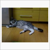 ストーブって、暑いよね(^▽ ...
