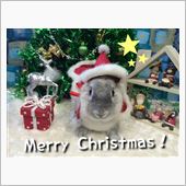 メリークリスマス！