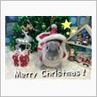 メリークリスマス！