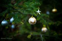 もうひとつのクリスマス もうひとつのクリスマス