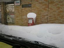 雪ぼうし