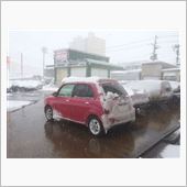 ☆　クルーズ リサジーノがガ ...
