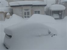 次々、雪に埋まっていくクルマ達。　でもココ、住宅地なんですけど（汗）