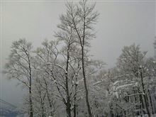 1月スキー予定