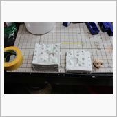 複製実験成功！
