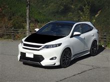 斬新！？　レーシー！？　こんなんどうでしょう