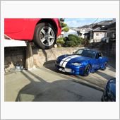 ニーレックスとともに駆け抜けて