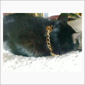 ＤＫの椅子で丸く～