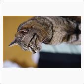 1年を振り返る・・・・