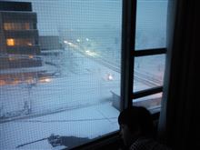 起きましたら…